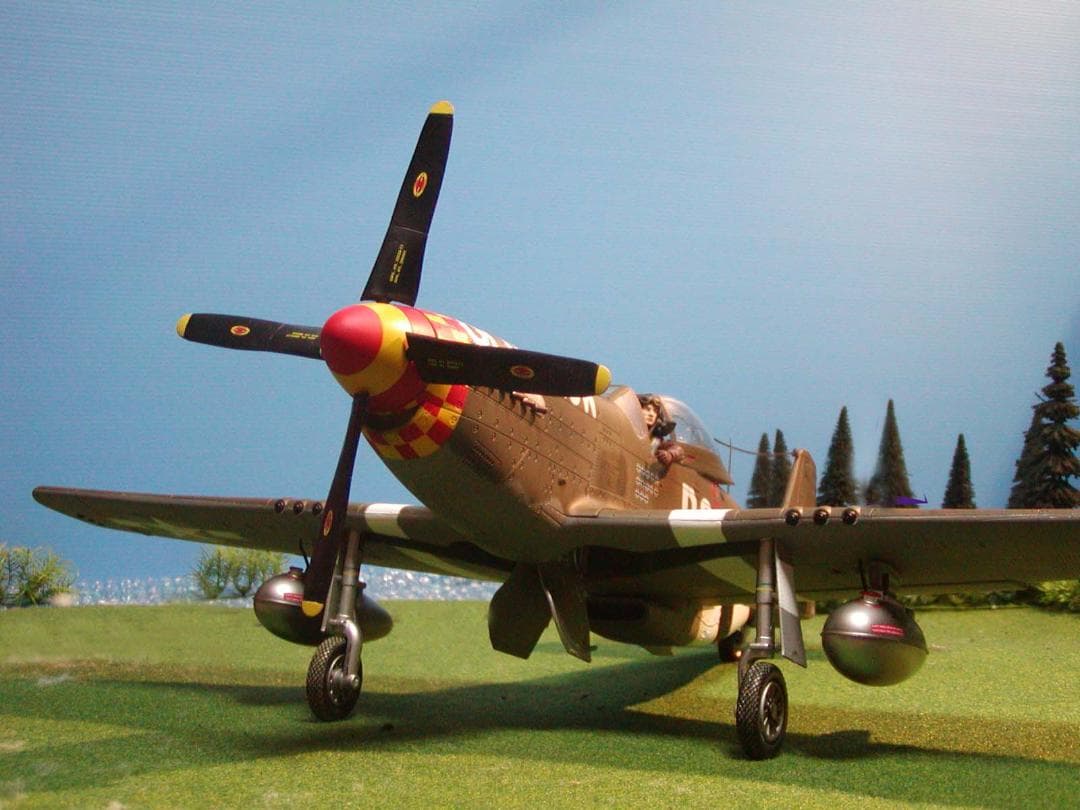 稀少1/18 P-51D ムスタング　オールド・クロウ