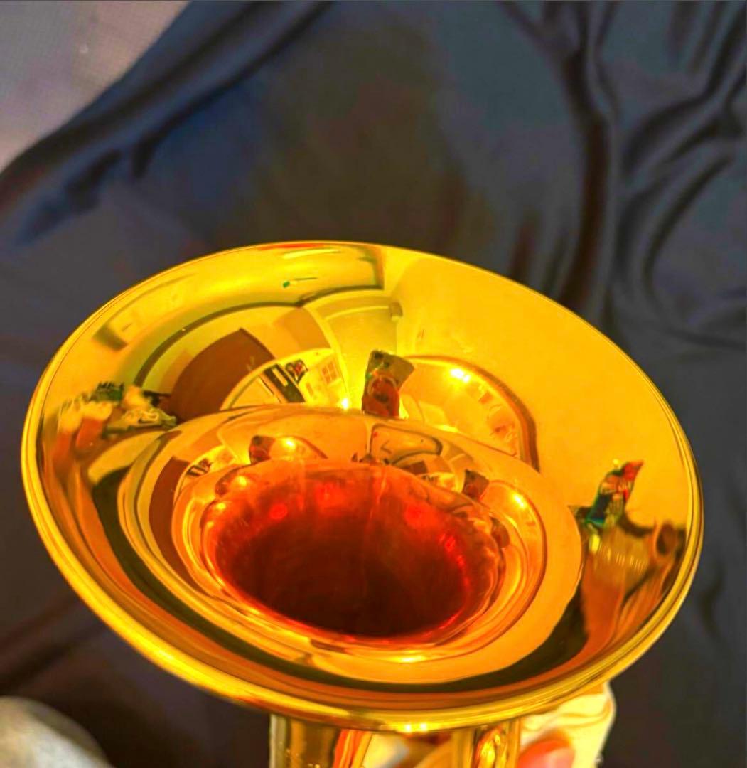 Bach 180ML37GP トランペット 金メッキ スチールワイヤーベル