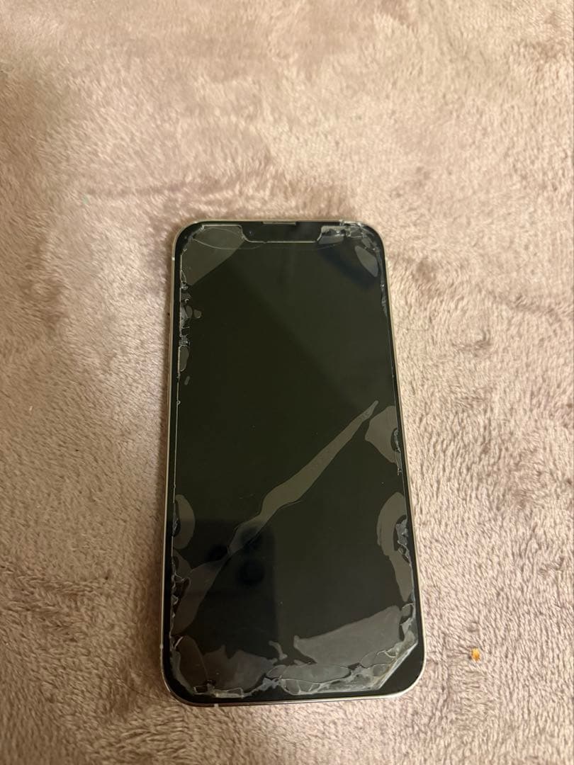 iPhone13Pro 本体