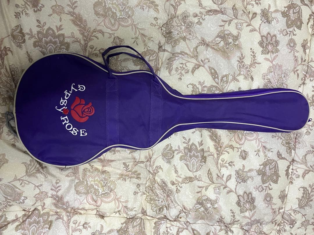 【勝手にタイムセール！】GypsyRose レスポールタイプ　今日だけ大幅値下げ