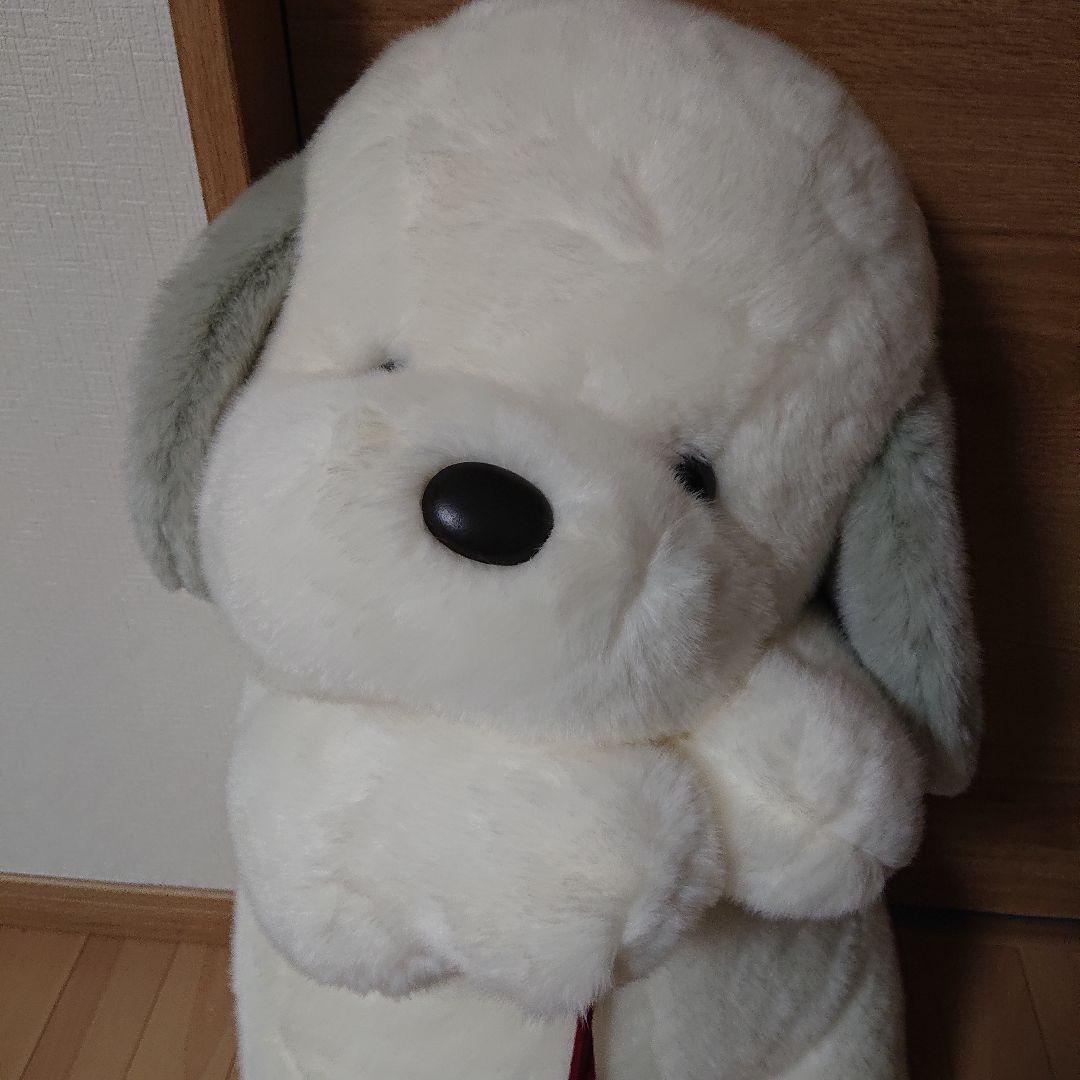 うめ吉 約70cm