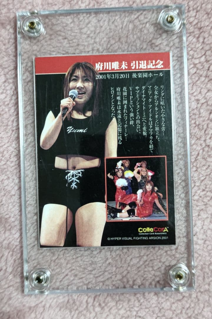 アルシオン　府川唯未　引退記念　ミニコスチューム付き額入りサイン　ホワイト仕様