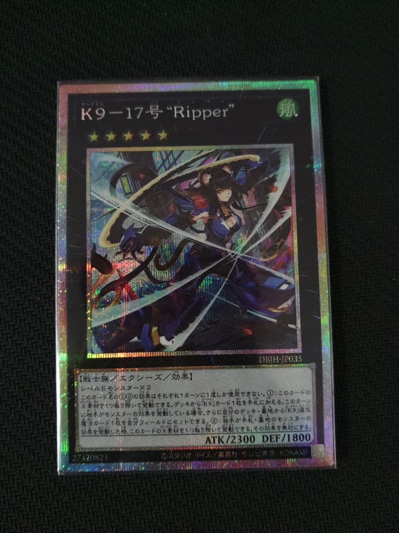 K9-17号\