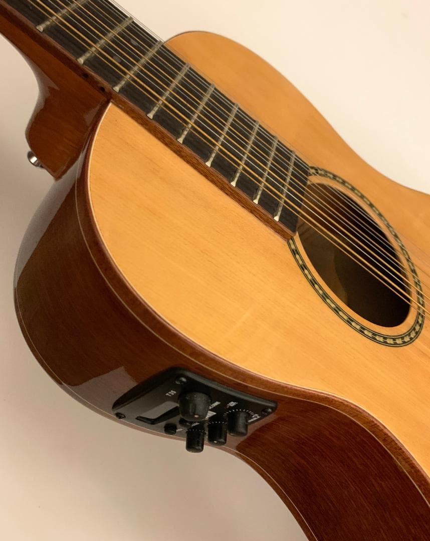 12弦アコースティック ミニギター OT-3E 音音 OTO-OTO