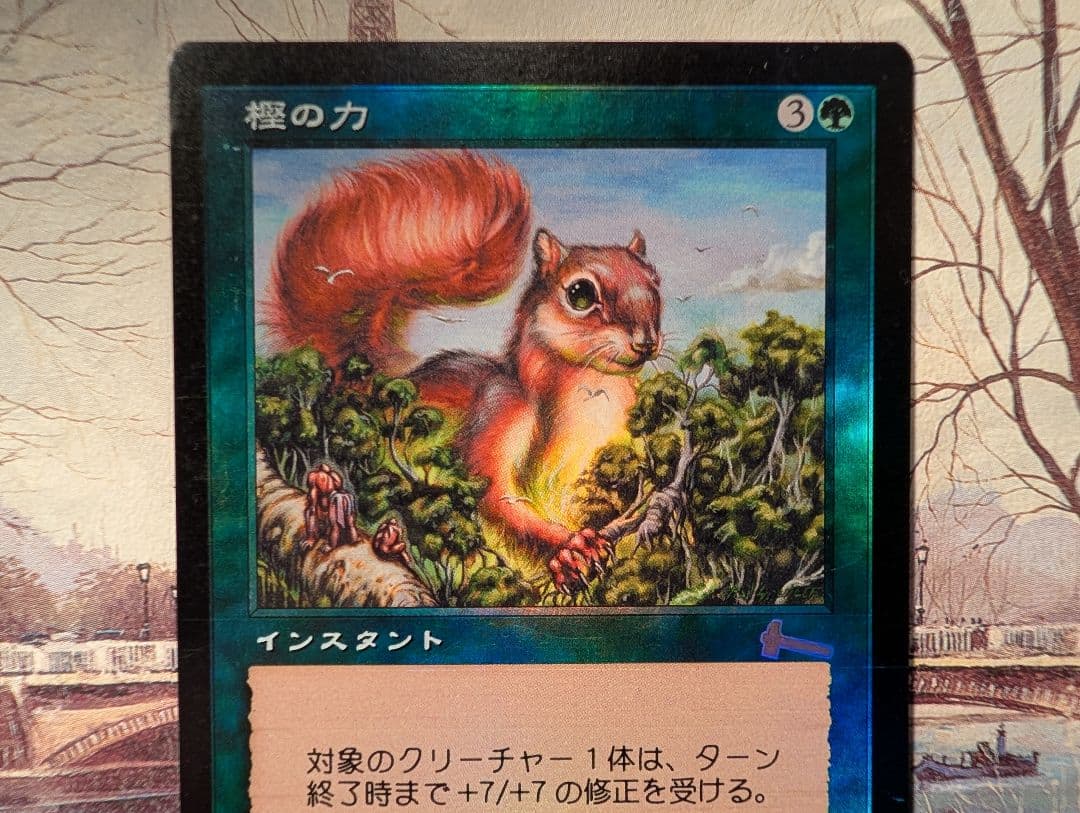 樫の力　日本語Foil