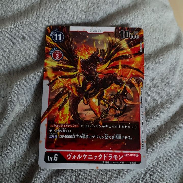 新規限定用