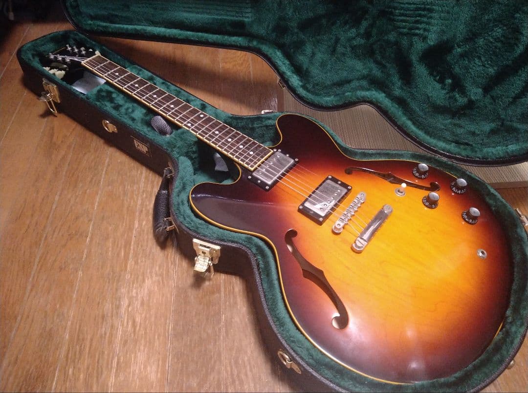 Edwards E-SA セミアコ
