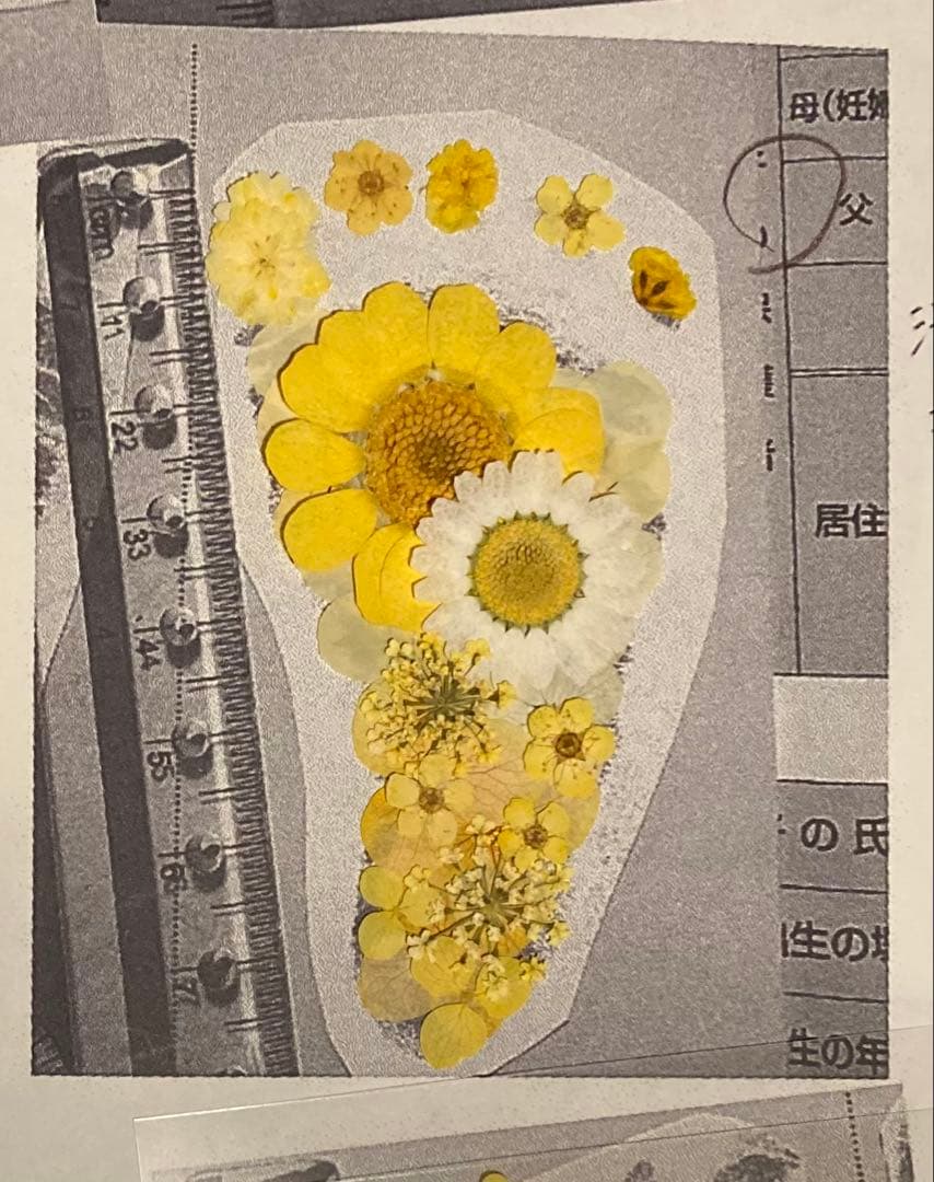 絵里ページ