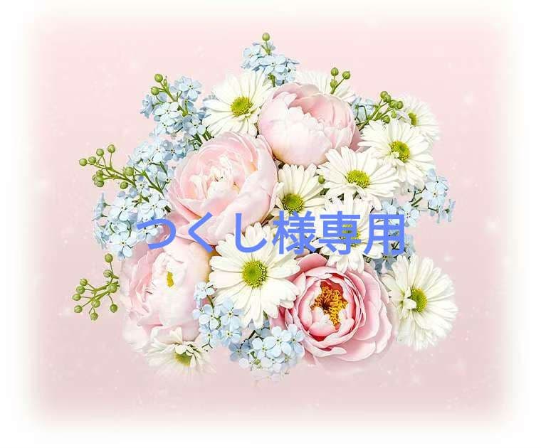 つくし