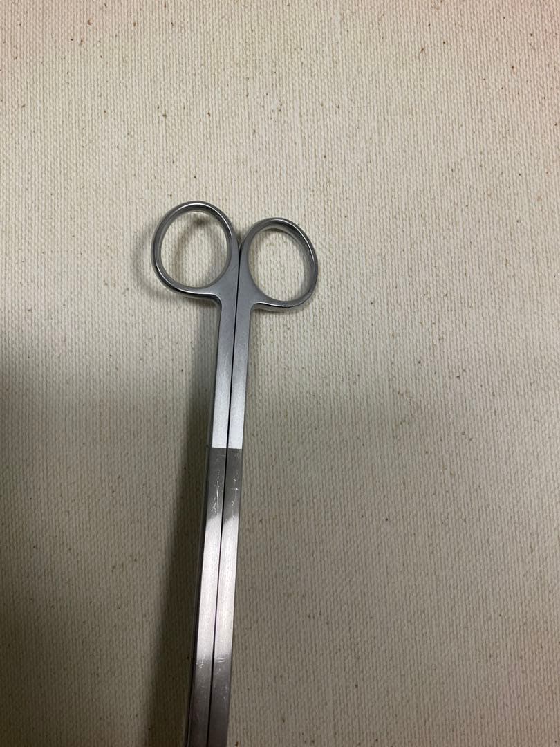 ADAプロシザース ヌード