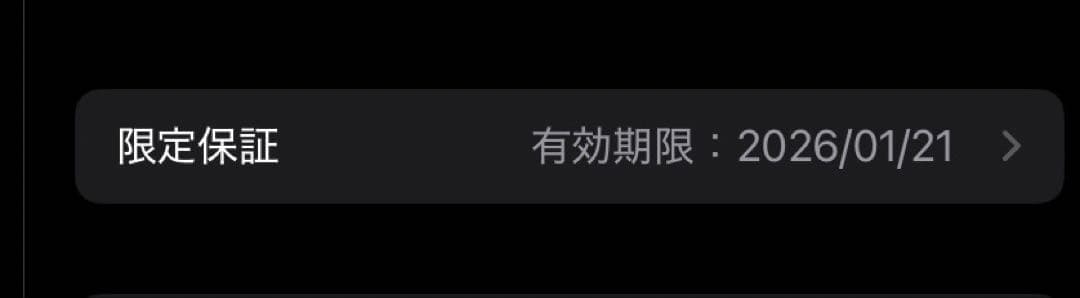 iPad mini 第7世代 Wi-Fi+Cellular 256GB