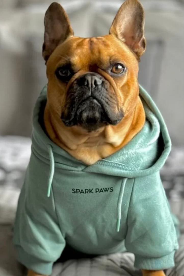 SPARK PAWS エッセンシャルドッグパーカー ミントグリーン　XLサイズ