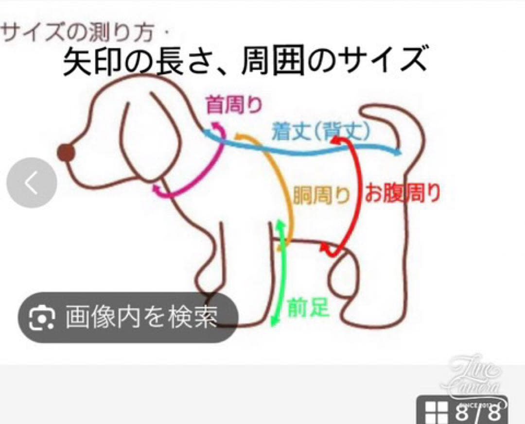 B413.pon2pan2☆オーダー☆犬お引き摺りお着物☆犬お着物