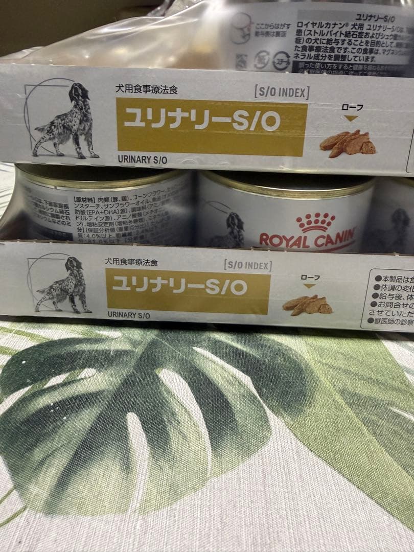 ロイヤルカナン　ユリナリーS/O 20缶