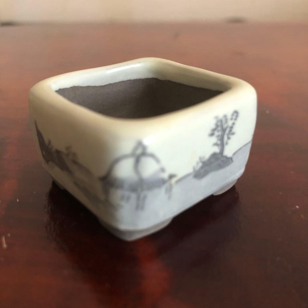 小品盆栽　サボテン　植物鉢 8点組　絵柄6点　小餅庵2点