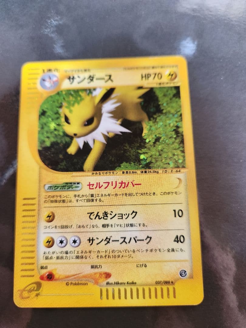 サンダース　キラのeカード