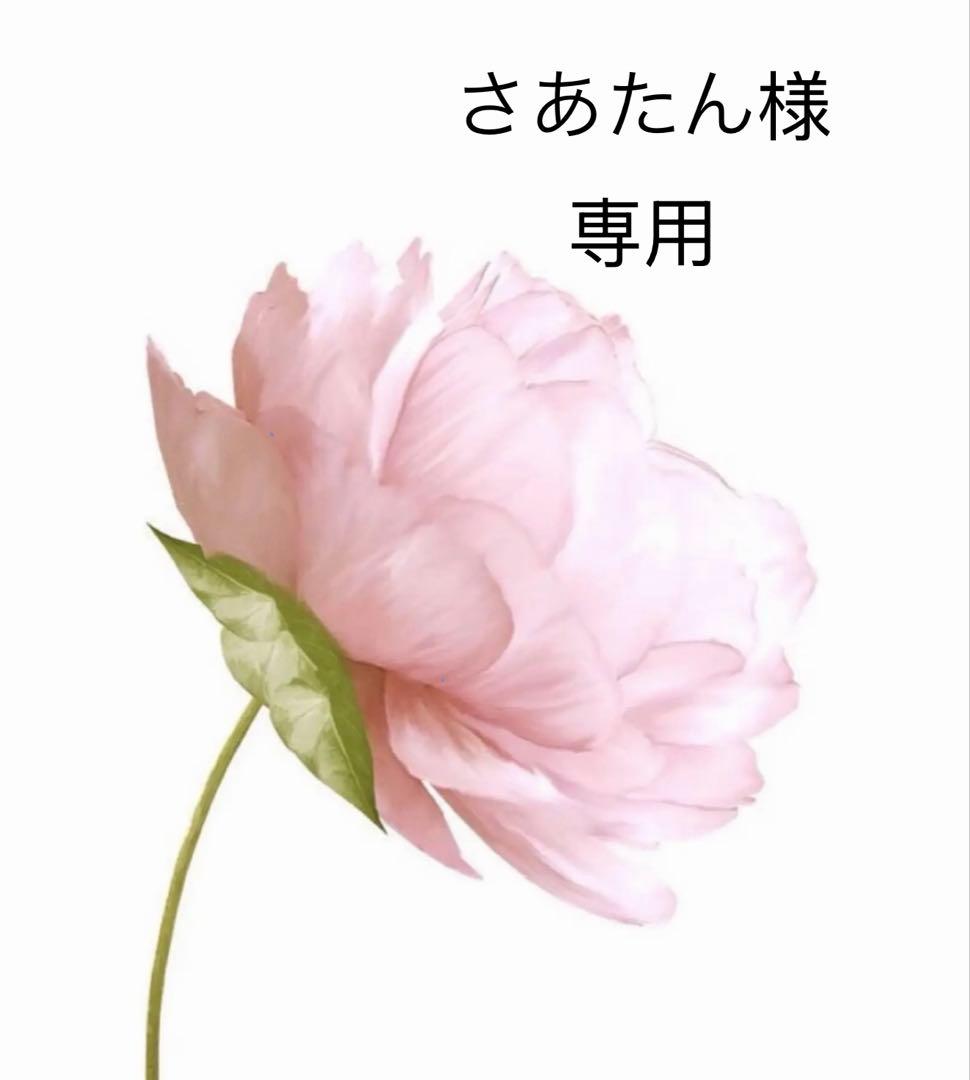 さあたん