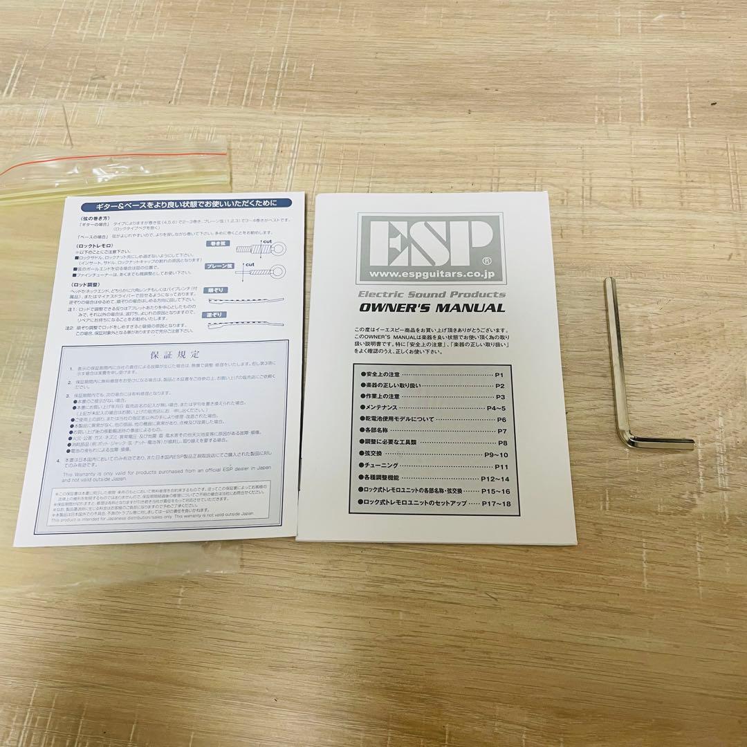 グラスルーツ GR-FV-32 スピーカー内蔵 エレキギターフライングV 希少品