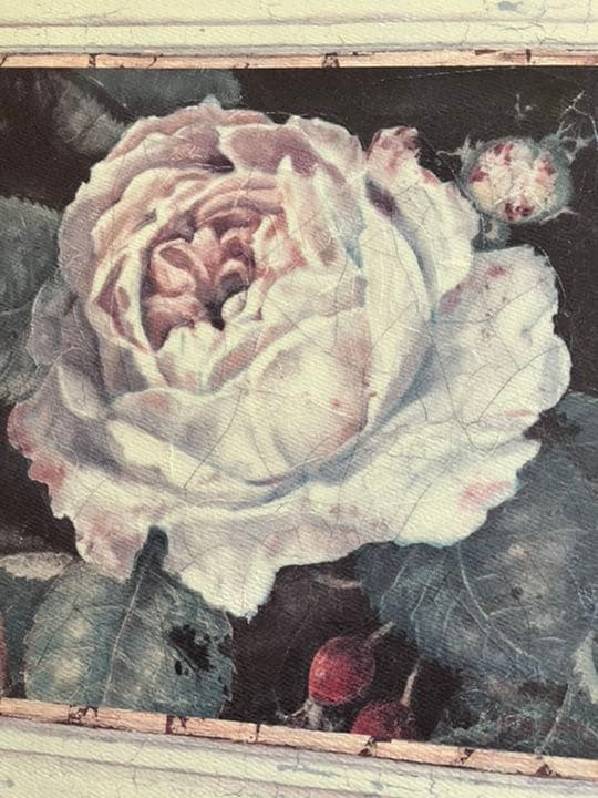 薔薇　額