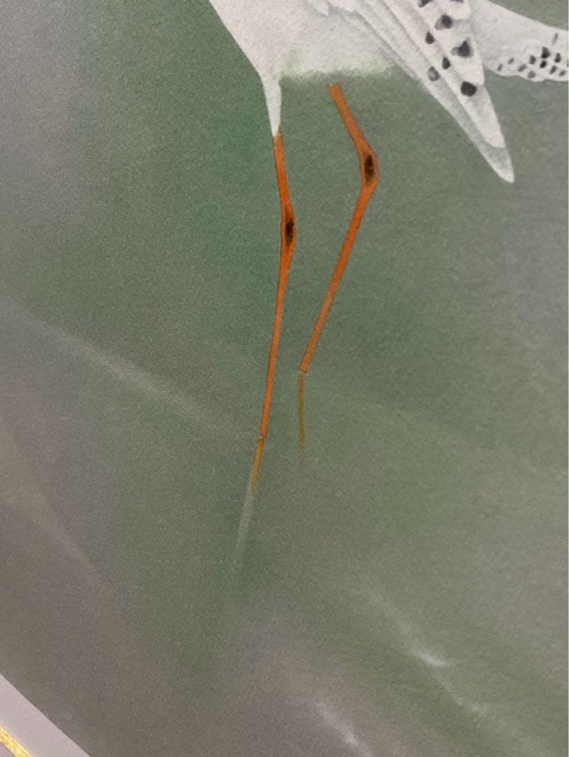 上村淳之 鴨 日本画 花鳥画 リトグラフ