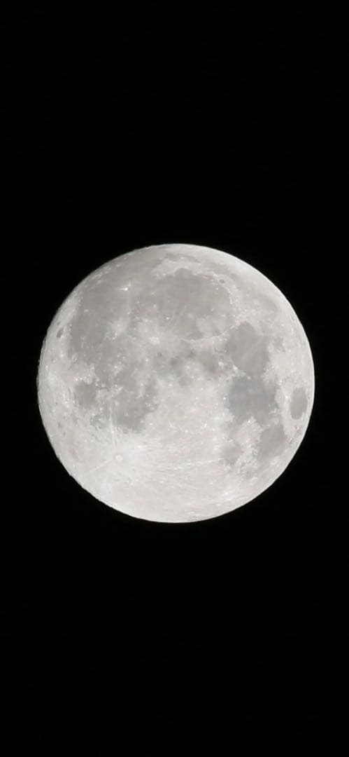 Canon/レンズ EF70-300mm F4-5.6 IS USM