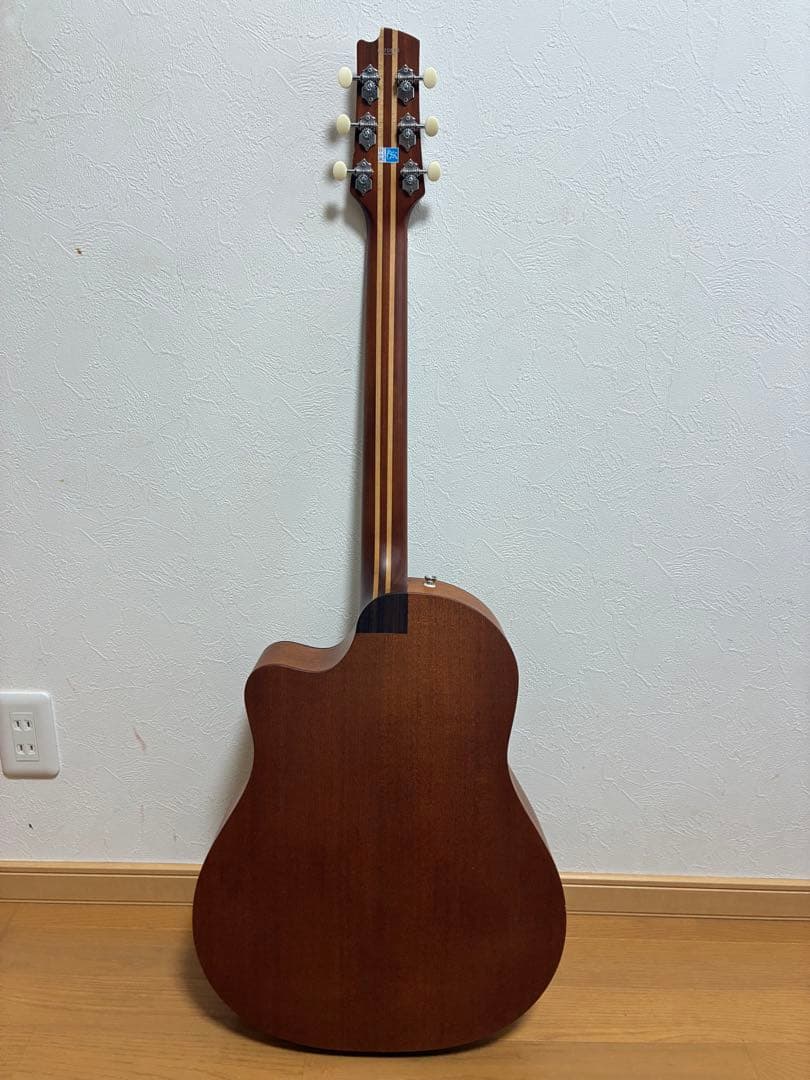 たけC　FGN AG1E
