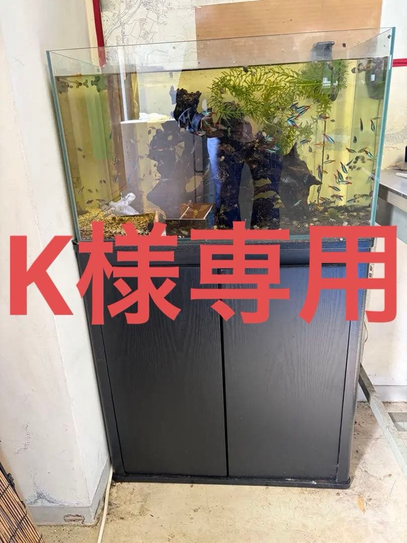 対面受け渡し限定‼️ オーバーフロー水槽　熱帯魚　濾過槽　ポンプ・流木・ろ材付き