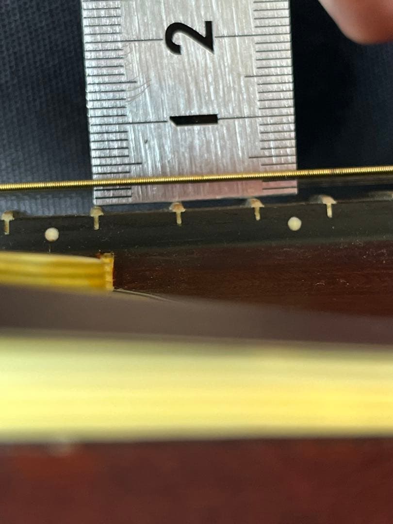 た*ん様 Eastman MD314 イーストマン フラットマンドリン