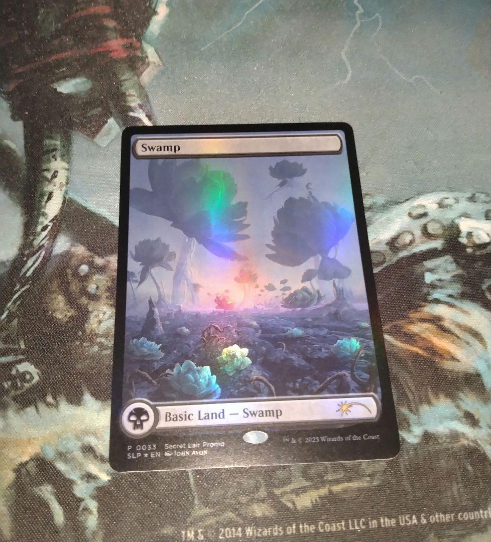 mtg 沼/Swamp　Foil