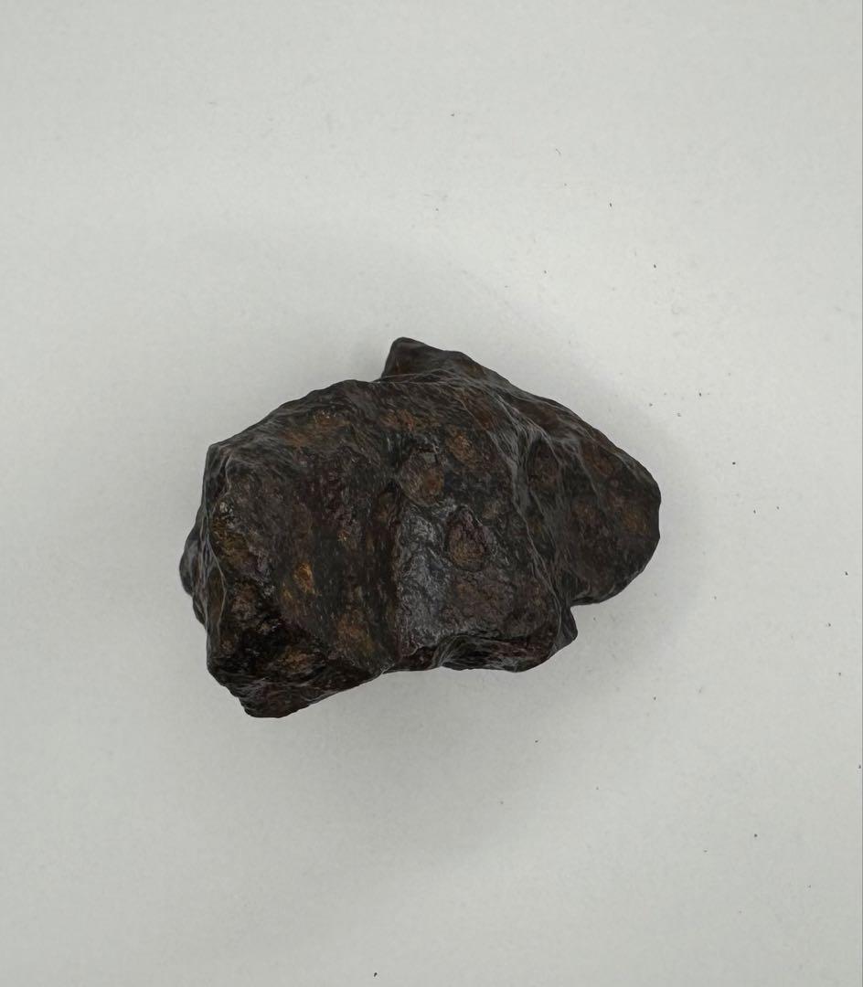 希少【隕石・メテオライト】カンポデルシエロ　大サイズ1.2kg
