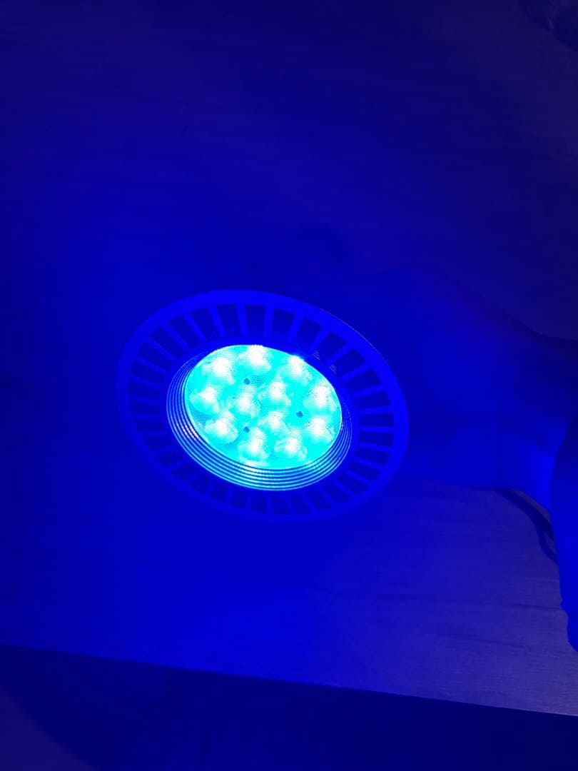 GrassyLeDio RX122sc DP レディオクリップ付き