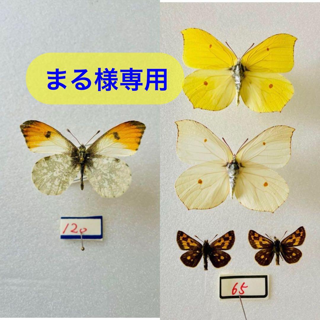 まる
