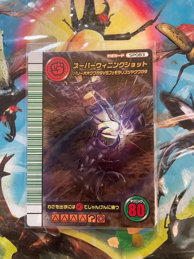 その他 KaguraSyu