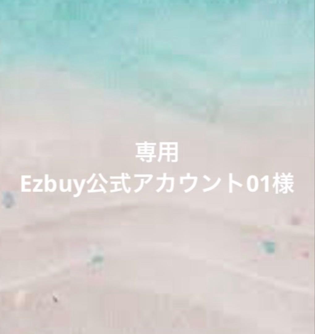 Louis Vuitton モット