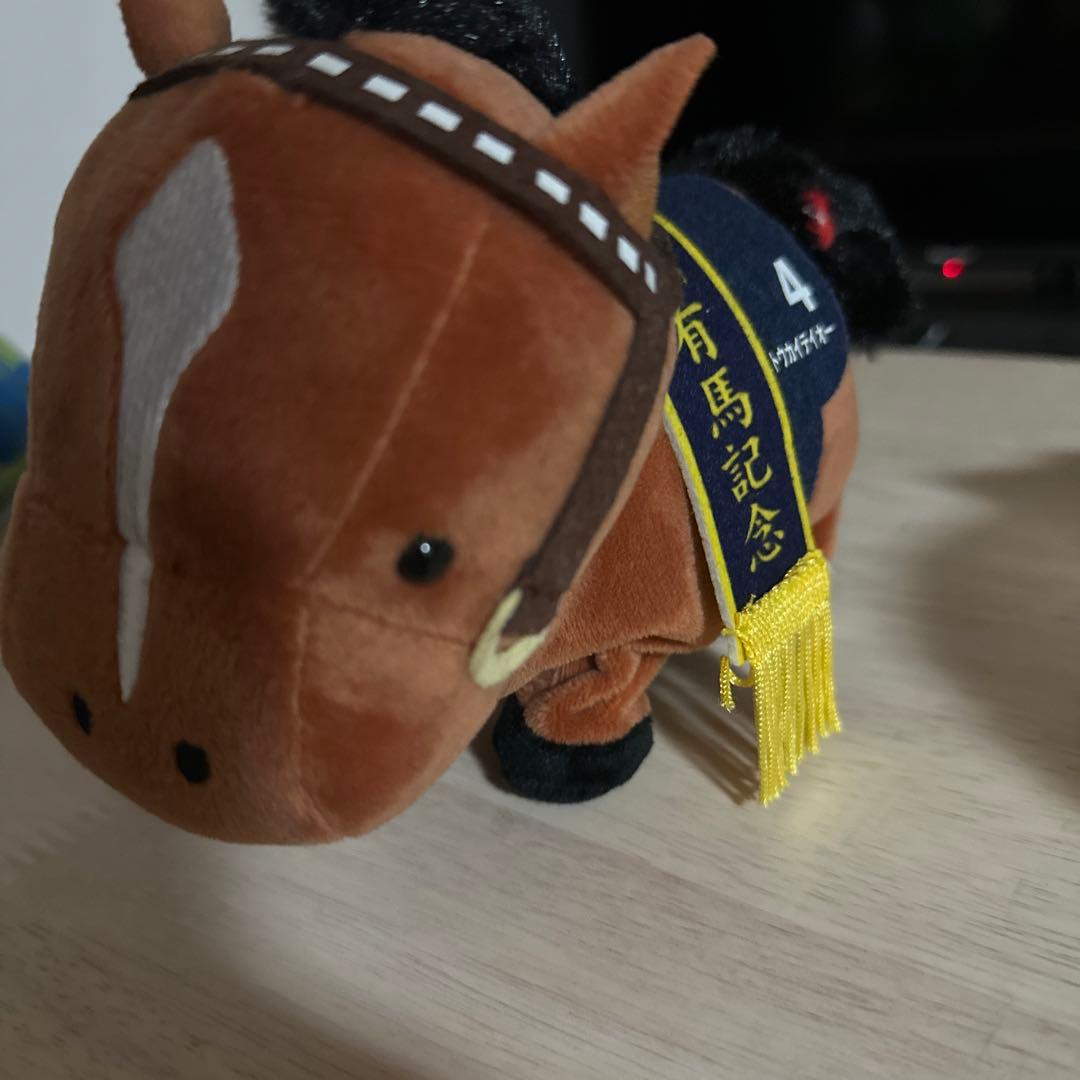 有馬記念の馬