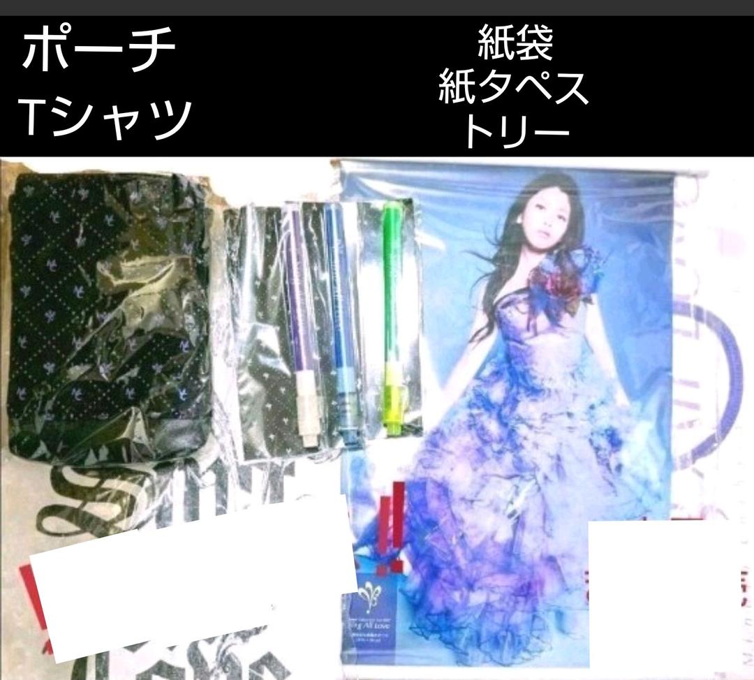 本日限定特別最終大特価◆茅原実里　LIVE&FCグッズ&非売品　大量まとめ売