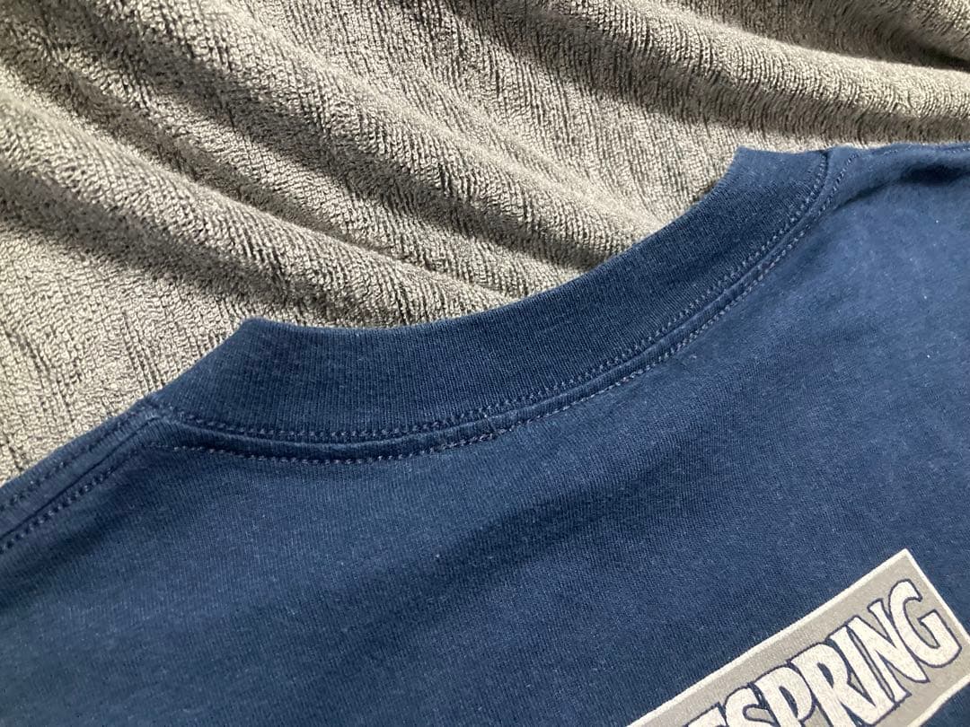 ワンポイント様　オフスプリング pretty fly