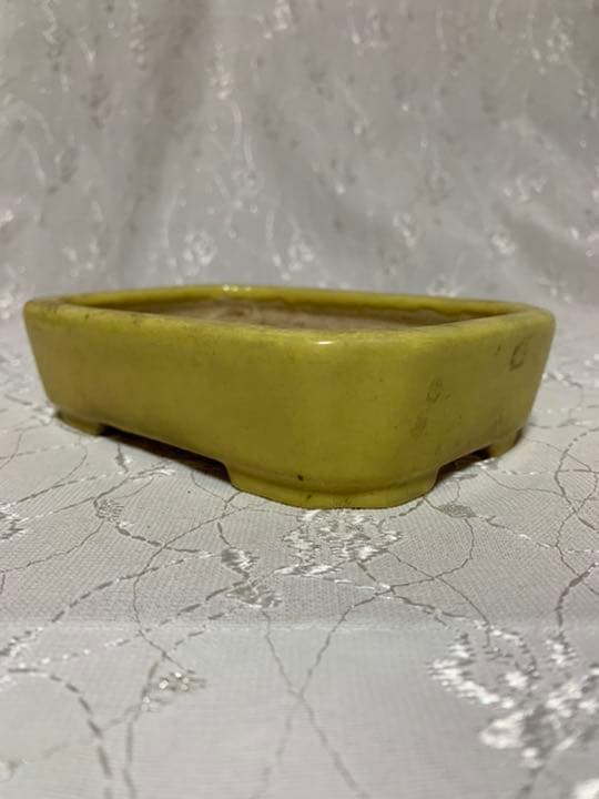 盆栽鉢　鴻陽