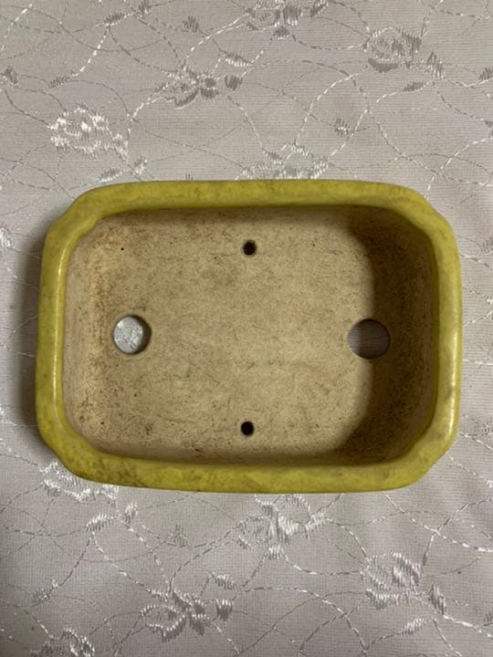 盆栽鉢　鴻陽