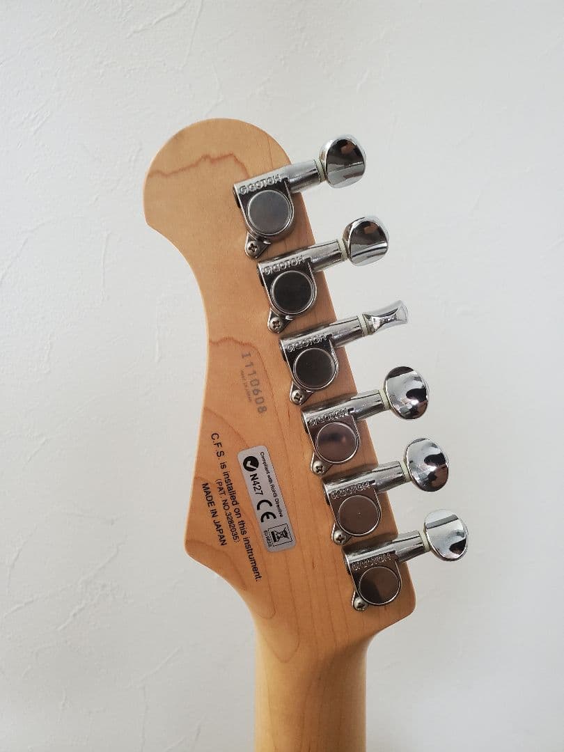 ギター FUJIGEN FGN J-Standard JST-5R