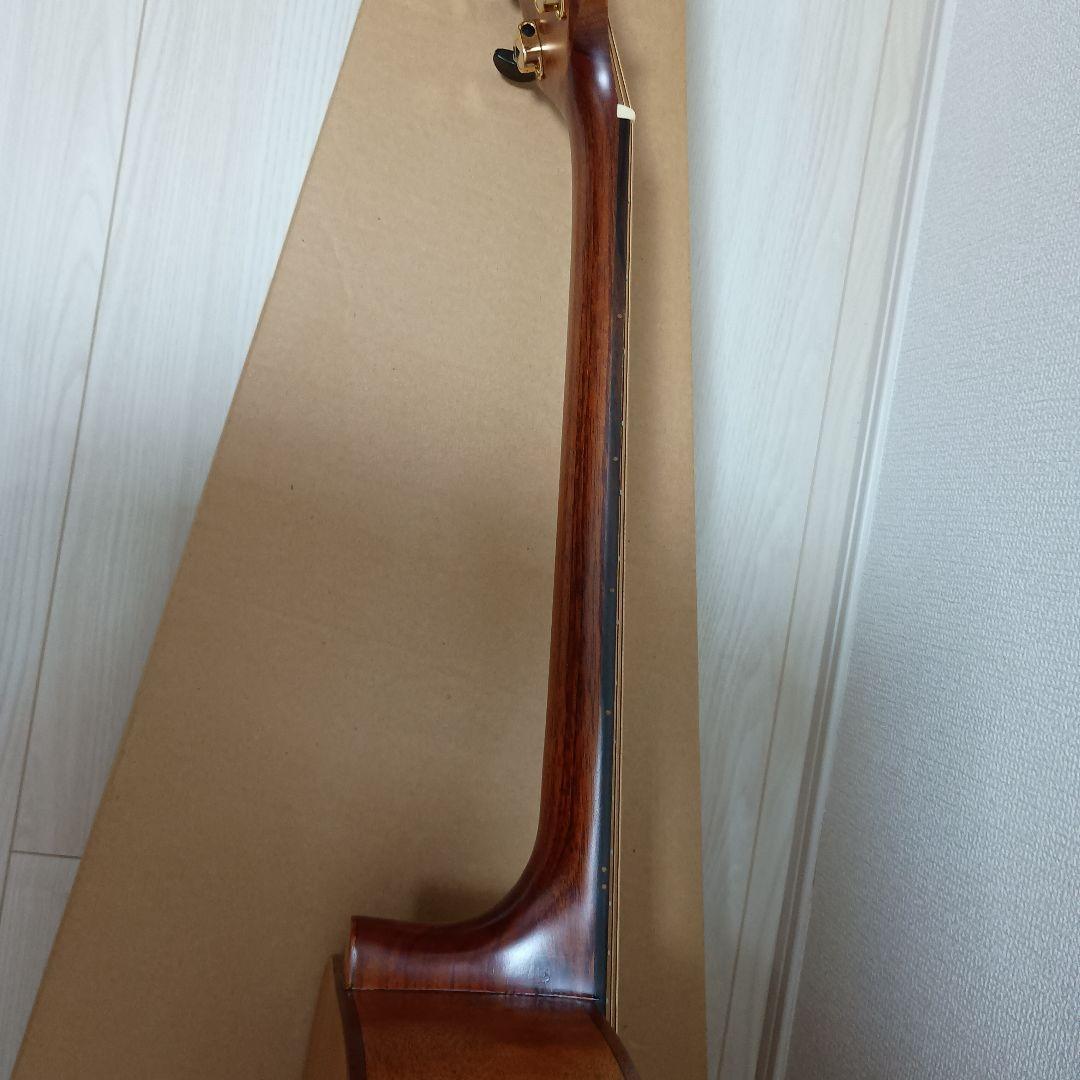 SX DG-LTD2 アコースティックギター