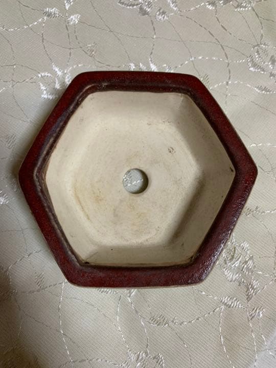 御蔵山　黒赤　六角　盆栽鉢