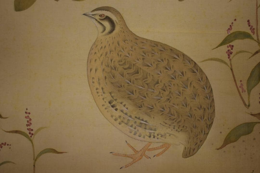 真作/貴道春鳳/敬太朗/萩に鶉図/ウズラ図/布袋屋掛軸HI-760