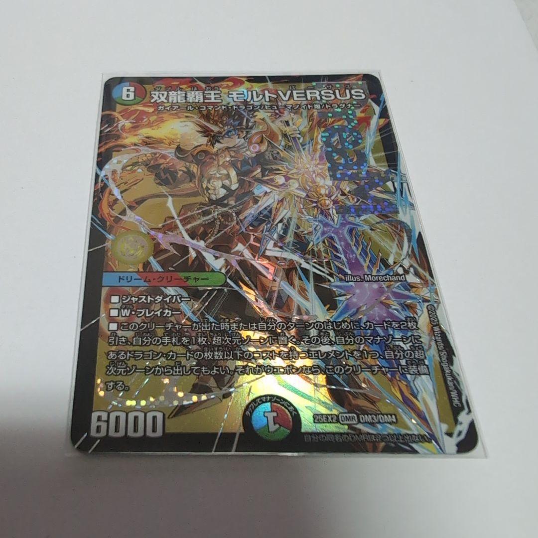 双龍王 モルトVERSUS 2枚セット