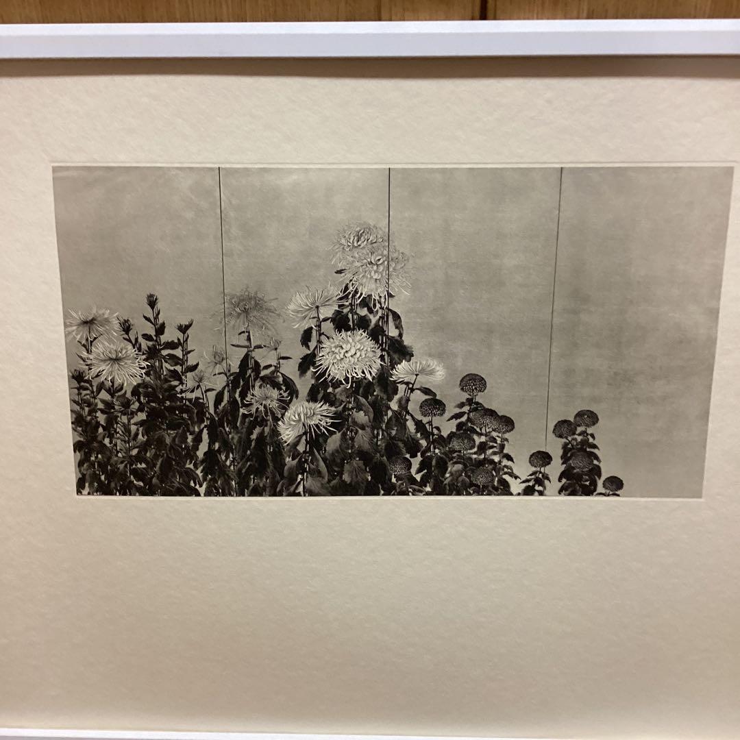 天才画家　速水御舟　作品集大作編　便利堂監修　画集NO 9 【菊花図】