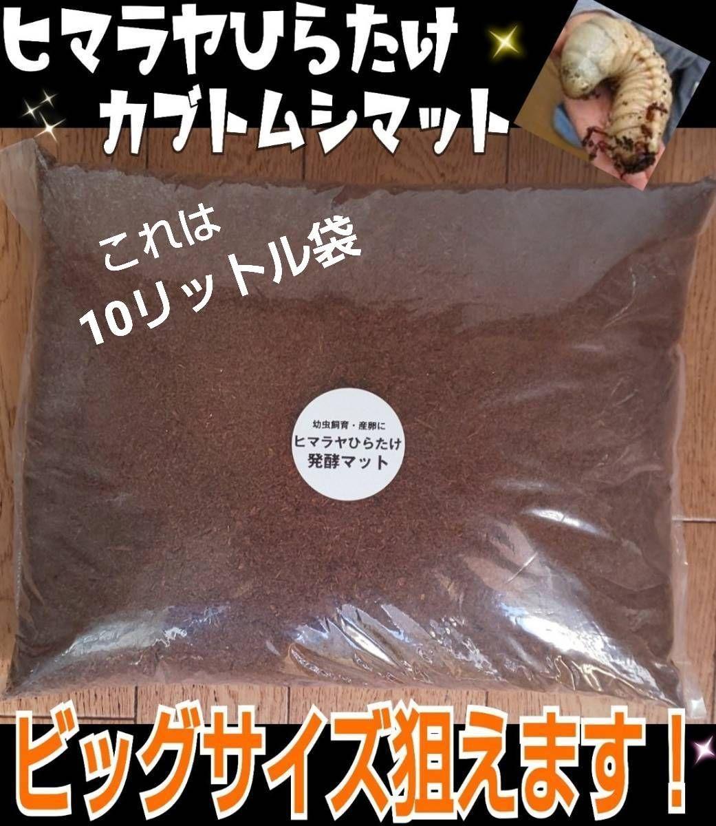 たっぷり100リットル☆カブトムシ幼虫が大きくなる！発酵マット☆雑虫湧きません！