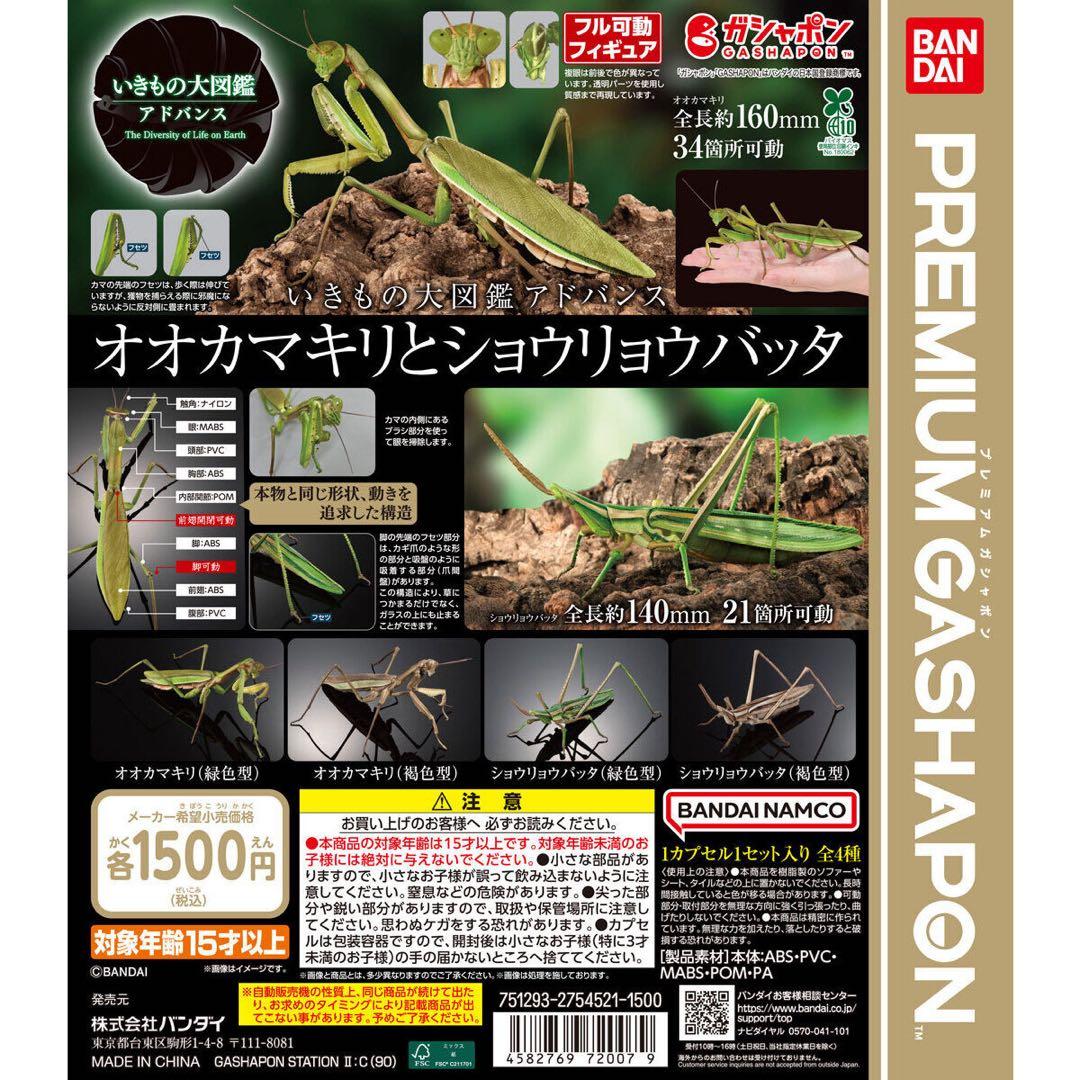 いきもの大図鑑アドバンス オオカマキリとショウリョウバッタ 全４種 カプセル A