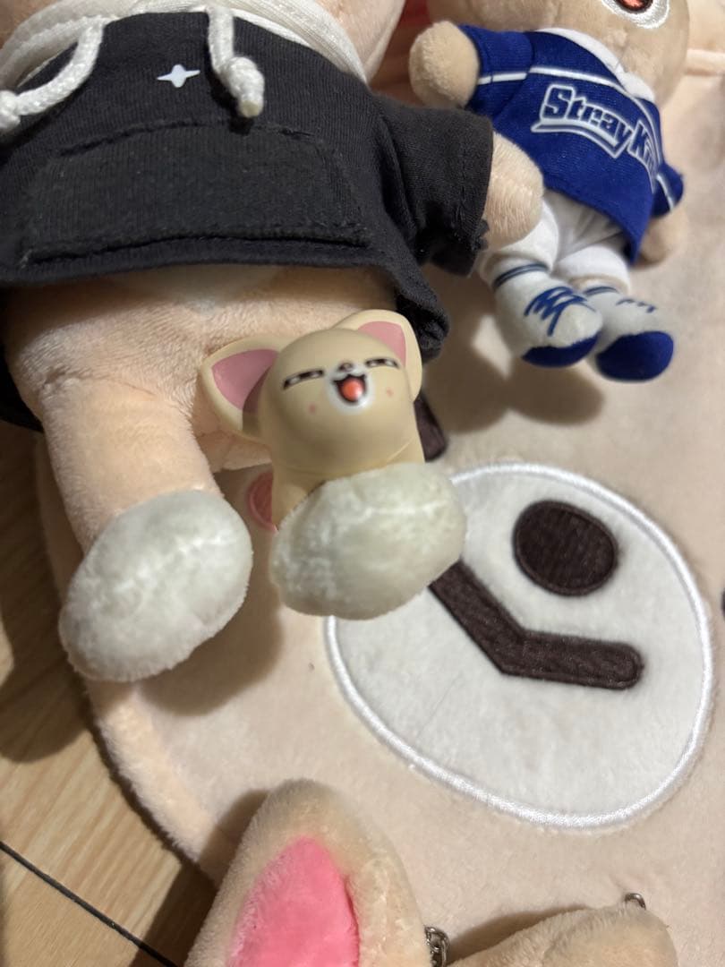 straykids アイエン まとめ売り