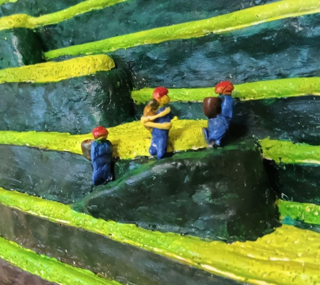 「ベトナムの棚田」