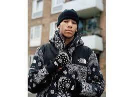 Supreme The North Face Bandana 手袋　M